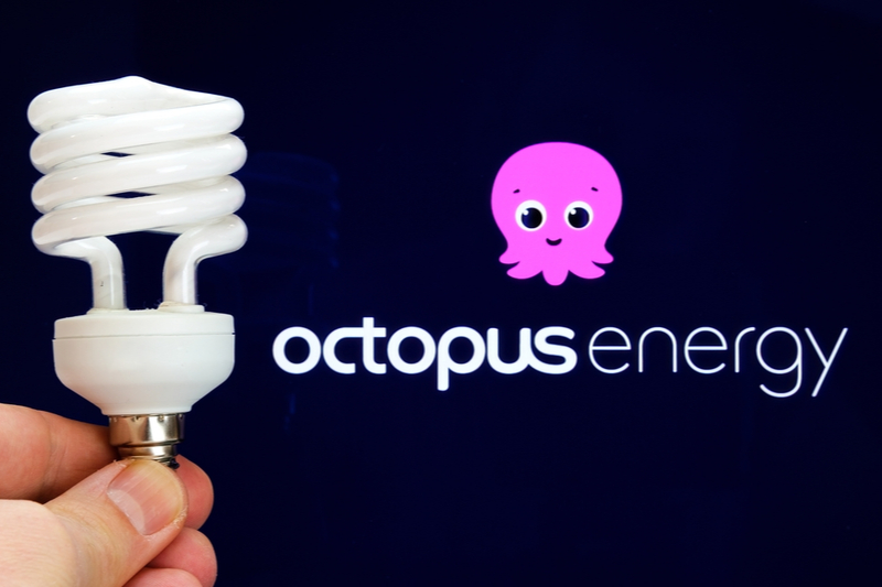 Octopus customers to be paid to decrease energy usage during peak times